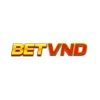 Betvnd134 vip – Tải App Betvnd Nhận Lì Xì Lên Đến 2.888 Điểm