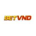 Betvnd134 vip – Tải App Betvnd Nhận Lì Xì Lên Đến 2.888 Điểm