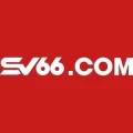 Svq5 com – Đăng Ký Hội Viên Tặng Miễn Phí Khởi Nghiệp 88k